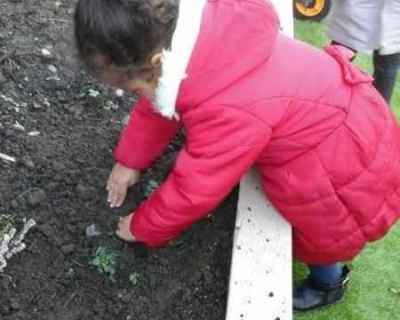gardening