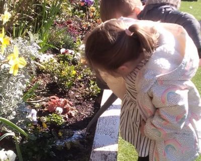 looking-at-flower-beds