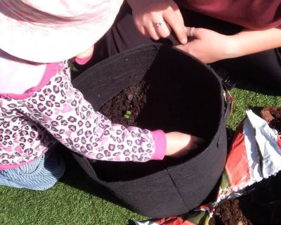plant-pots