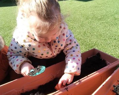 planting-seeds