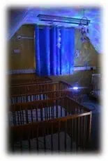 baby-4